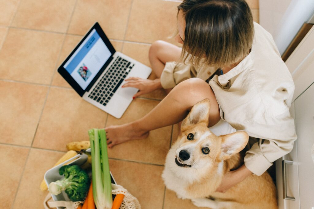 Eine Frau mit Hund lernt Fremdsprachen und kennt die besten Möglichkeiten, Englisch und Fremdsprachen in der Sprachschule online oder stationär zu lernen